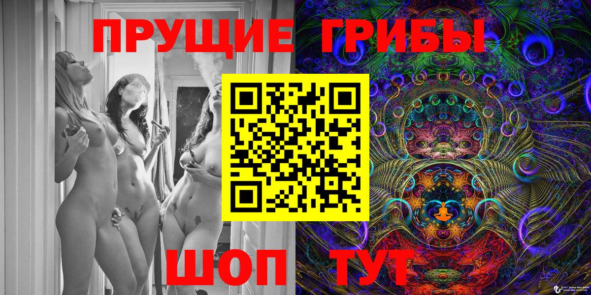 Ногинск  Галлюциногенные грибы прущие грибы  где продают наркотики  Вход с VPN 